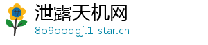 泄露天机网